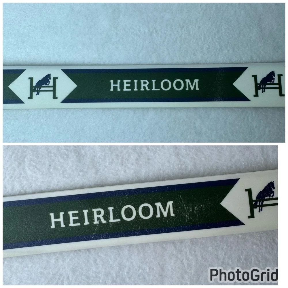 C4 Equestrian Belt Heirloom Green White Translucent Buckle Horse Jumping READ